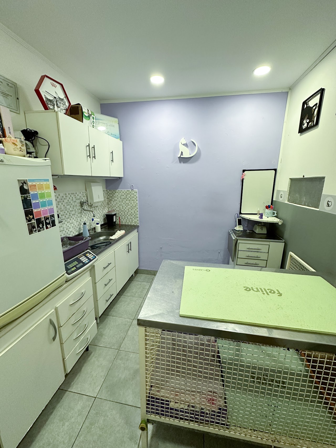 Fachada y recepción de la clínica felina
